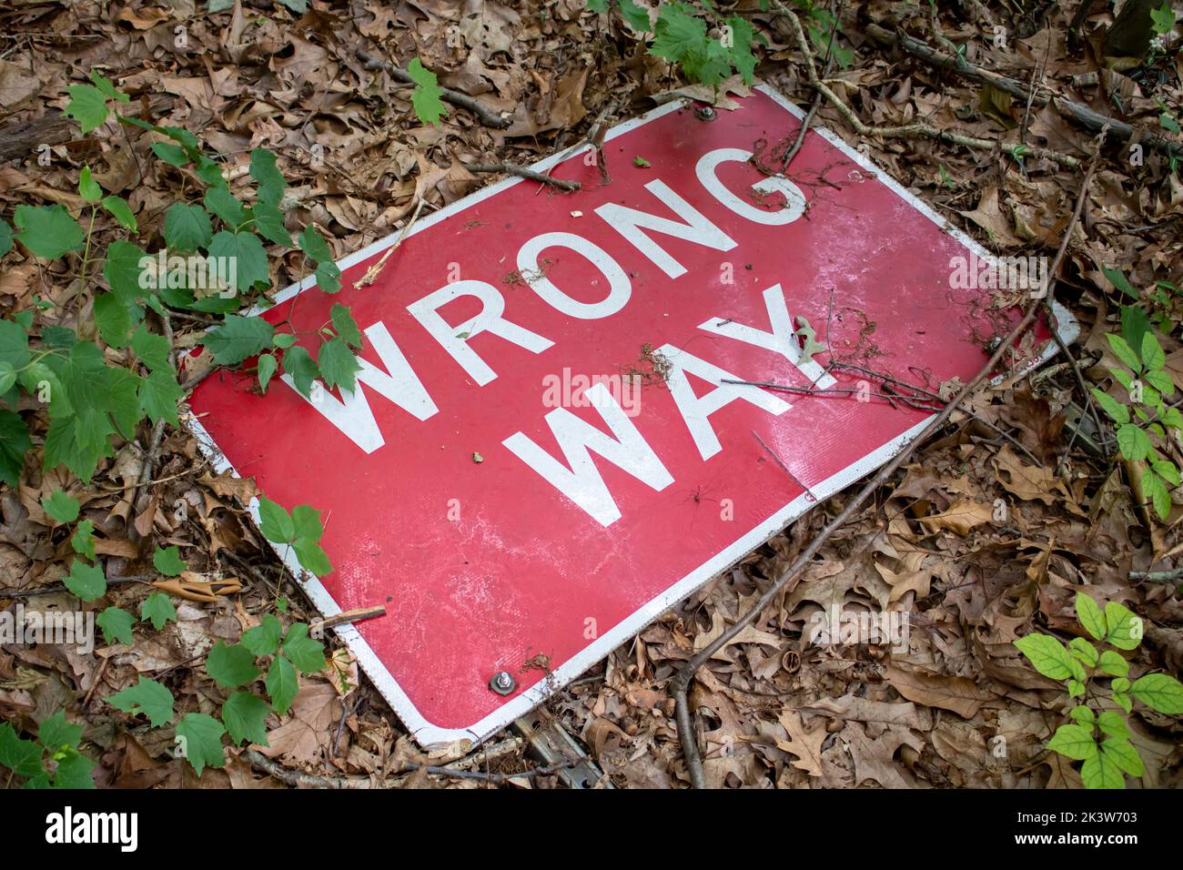 Fallen worg way street sign on the ground of a forest Stock Photo