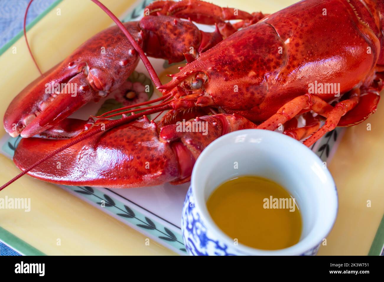 Cup of butter next to a cook fresh full lobster on a yellow plate Stock