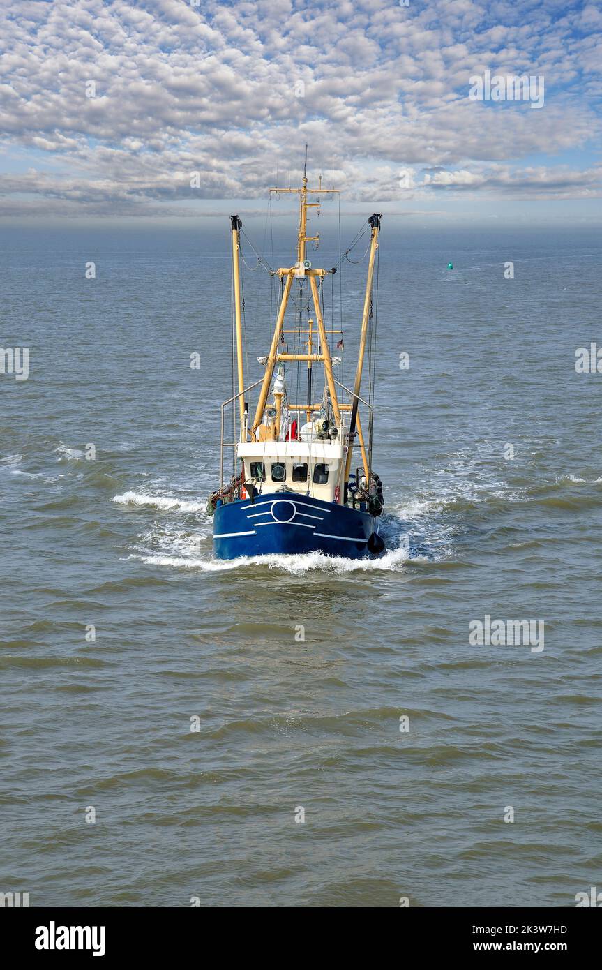 Shrimp Cutter at North Sea in Wattenmeer National Park,Germany Stock Photo