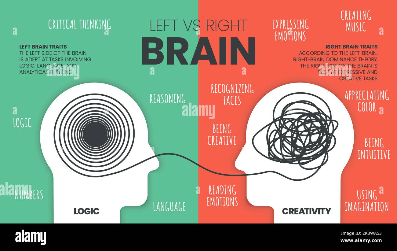 Left brain vs. right brain: fact or fiction? - Work Life by Atlassian