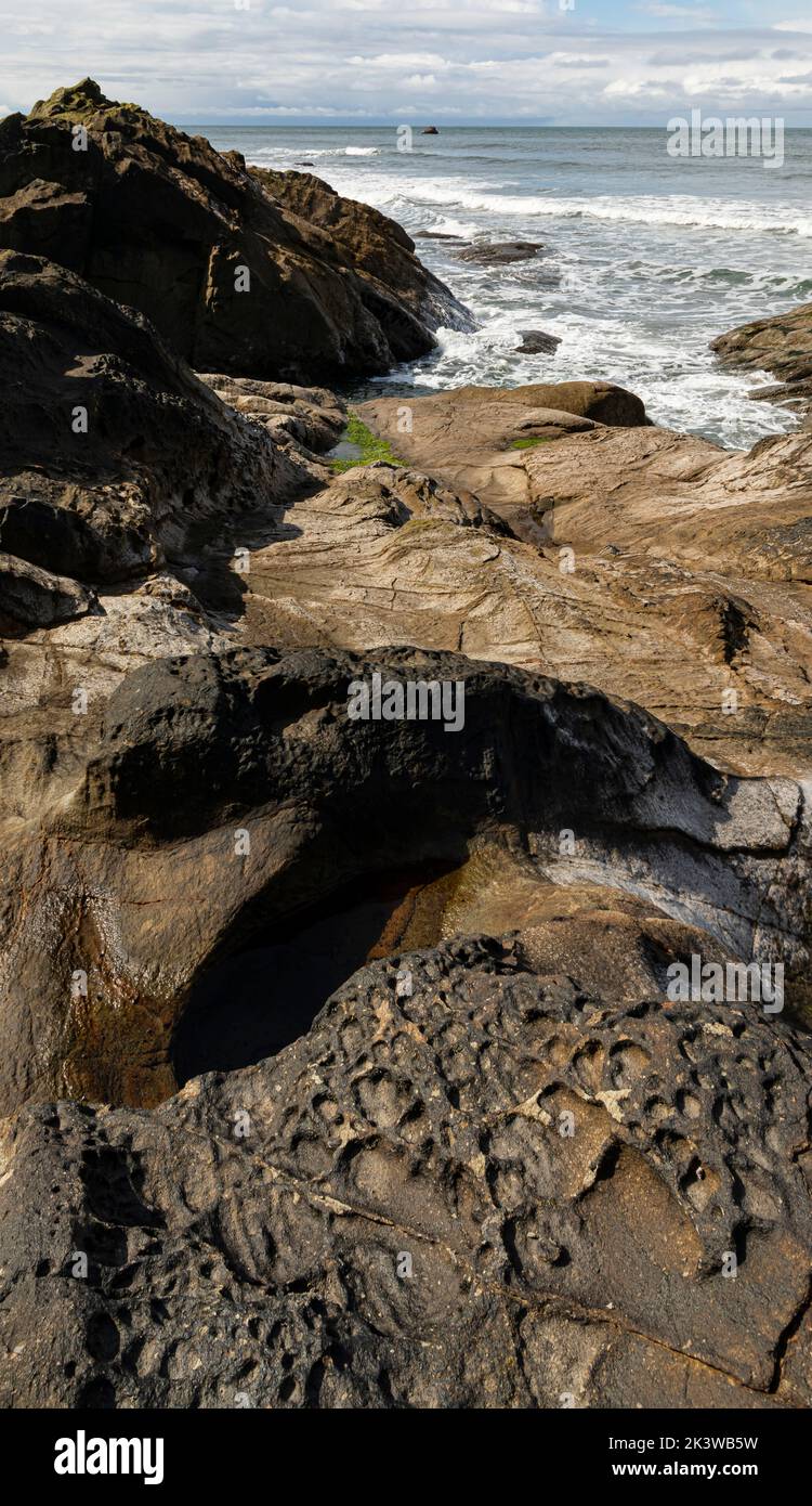 WA22075-00...WASHINGTON - Interesting patterns and textures on the headland dividing Kalaloch and Beach 3 on Pacific Coast in Olympic National Park Stock Photo