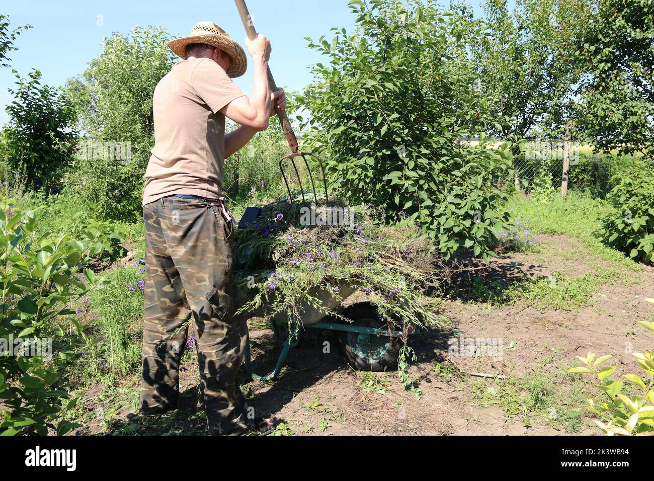 A villager cleans his garden of weeds Stock Photo