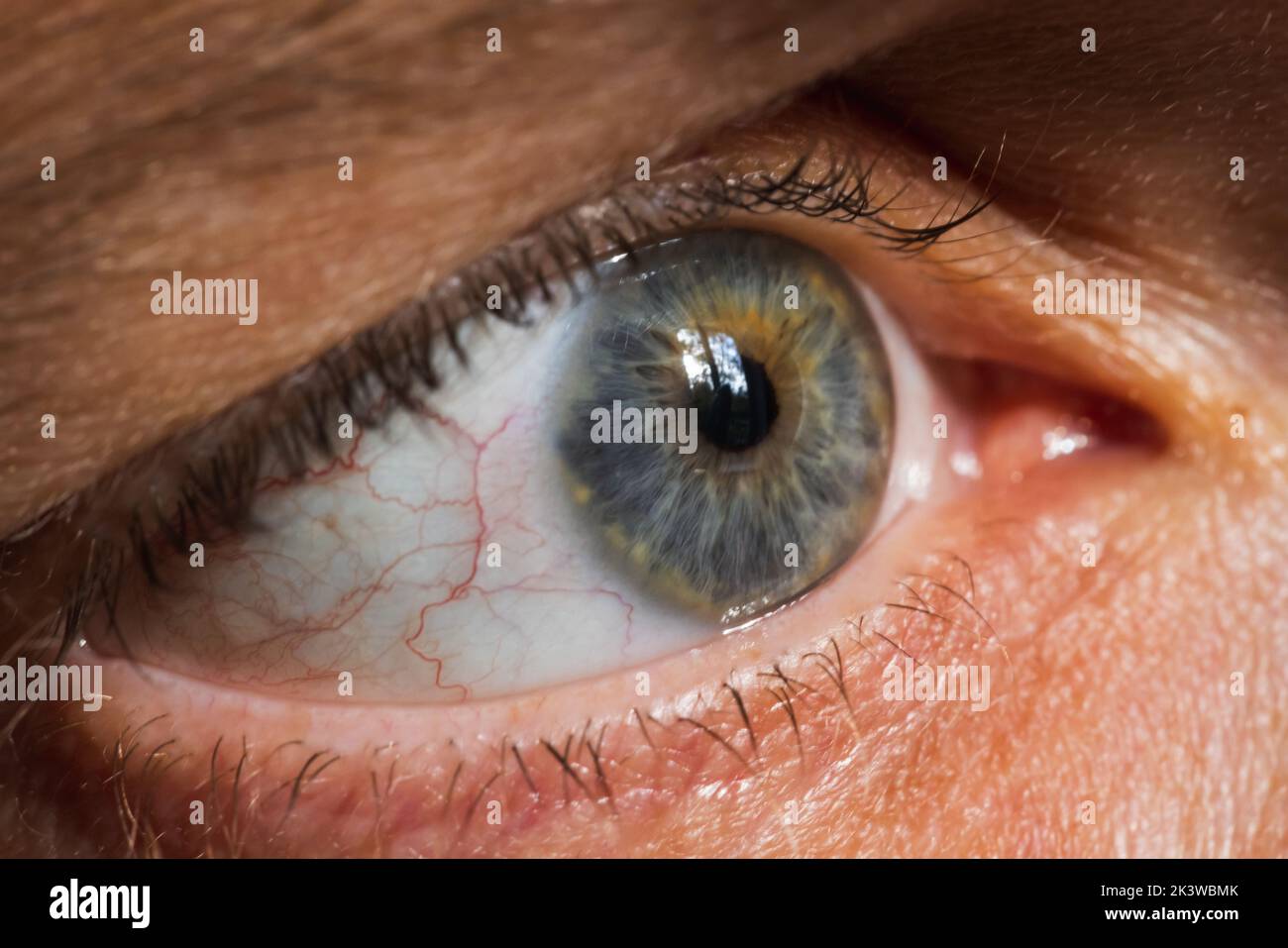 Close up photo of tyred gray green male eye Stock Photo