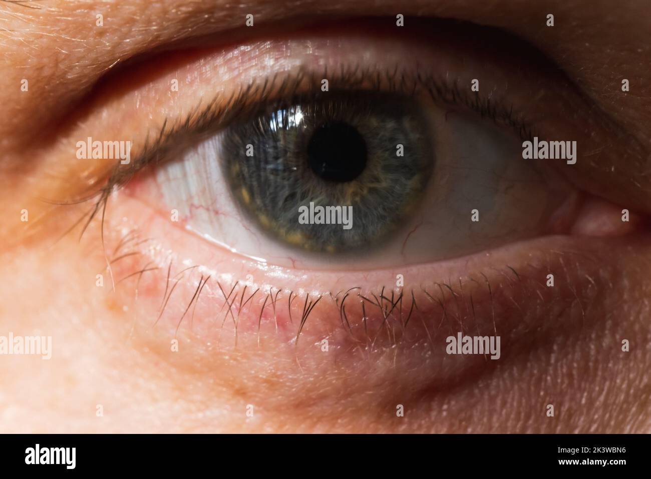 Close up photo of gray male eye Stock Photo