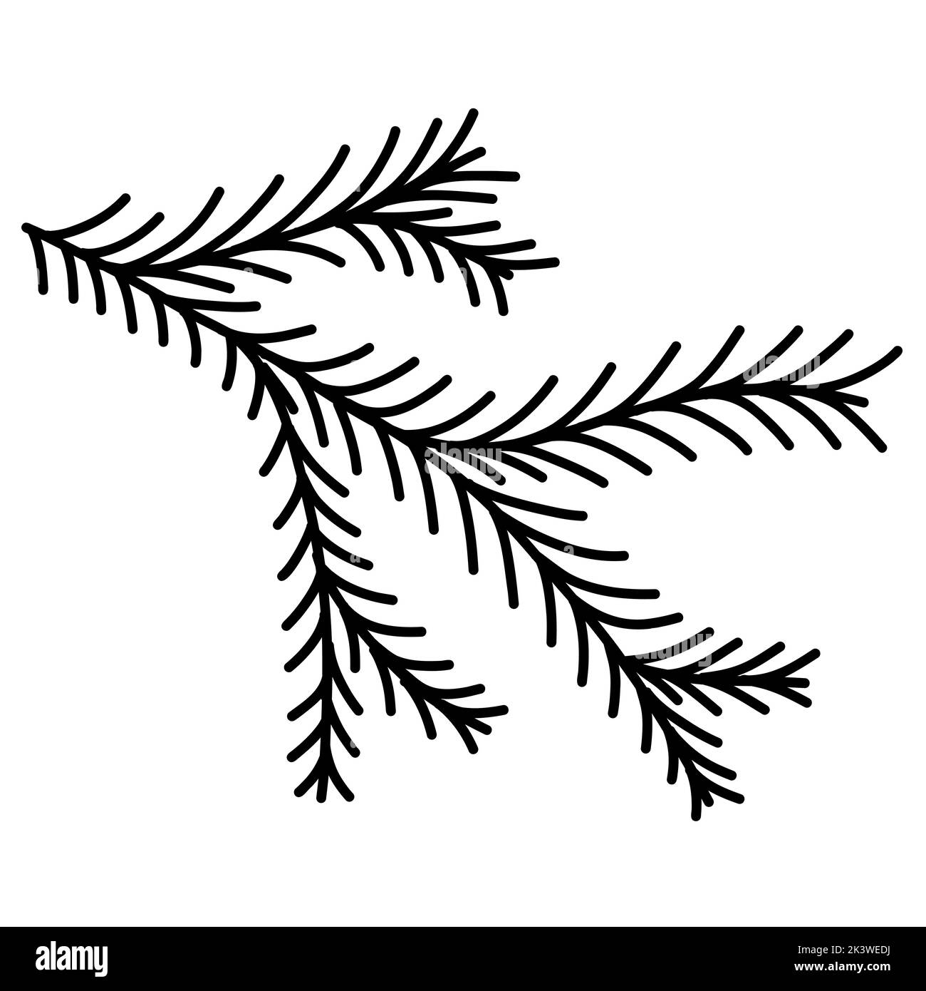 hand drawn doodle of evergreen pine fir branche christmas tree in vector format for web, print, or advertising use. Stock Vector