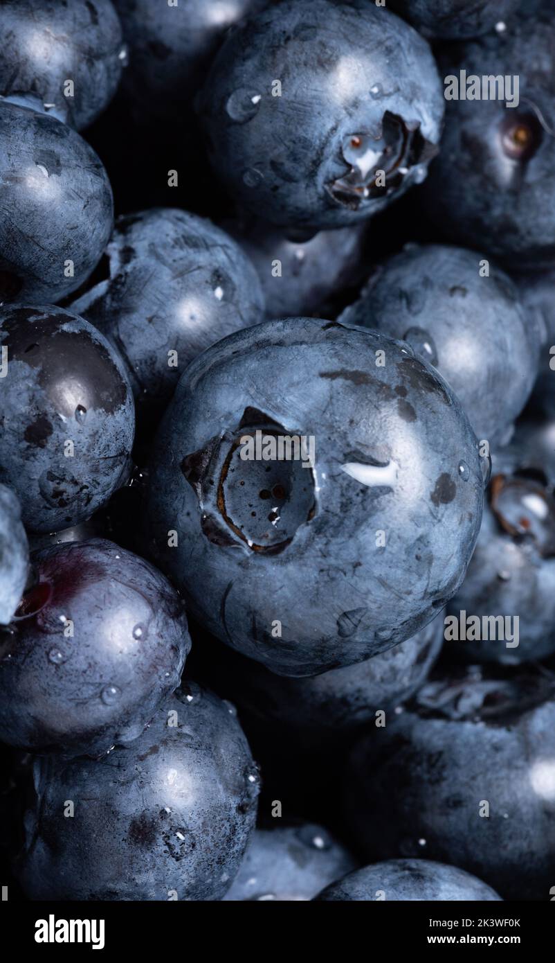 Blueberry fruit in close-up. Ripe fruit, blueberry berries isolated ...