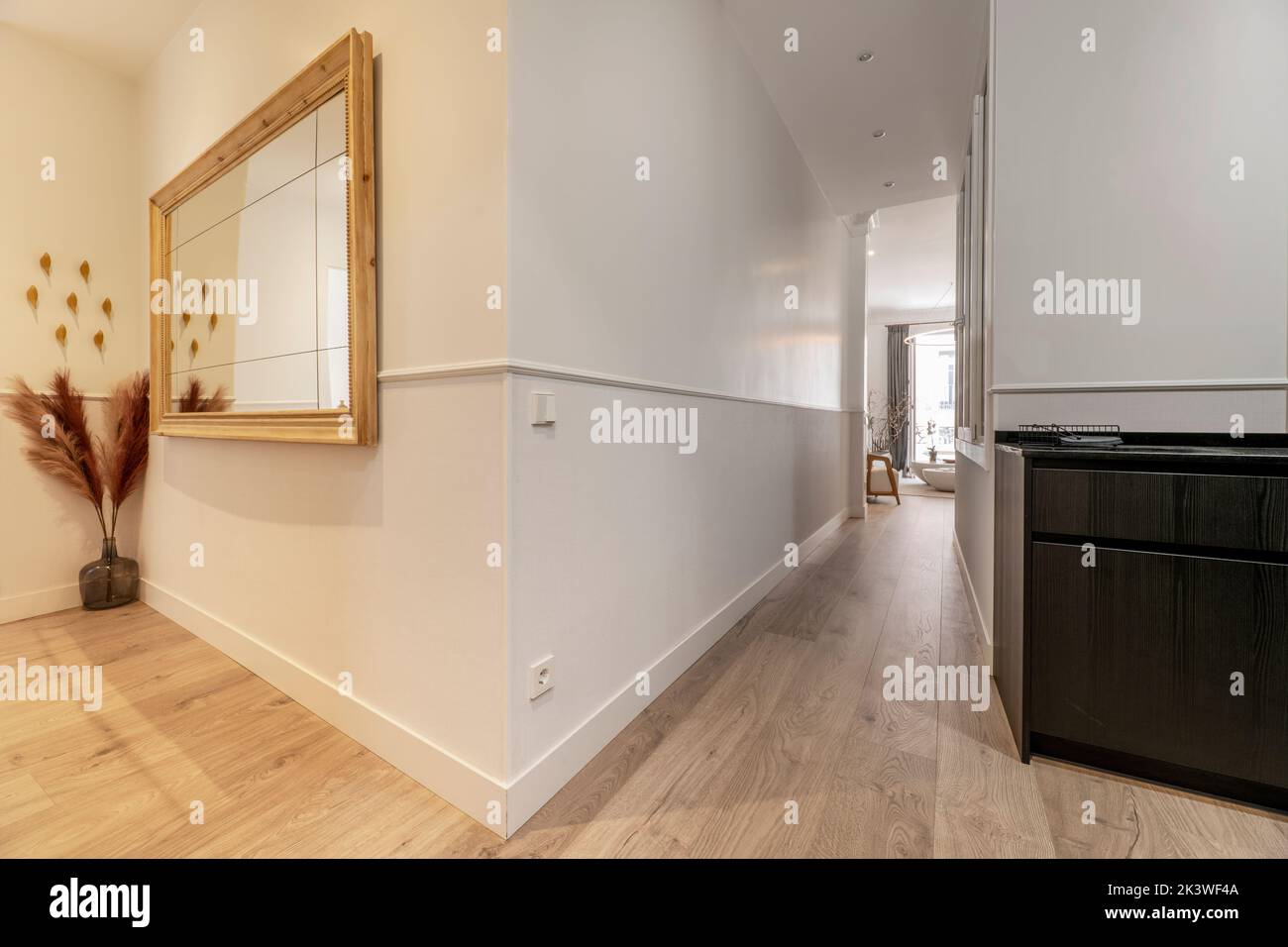 Entrance hall of a rental apartment with a long hallway and a wood-framed mirror Stock Photo