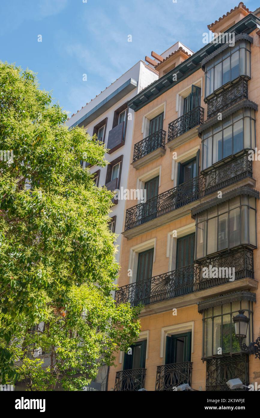 Yellow facades with plants of old houses with vintage retro wrought iron metal balconies with color patterns on an old brick building with glass windo Stock Photo
