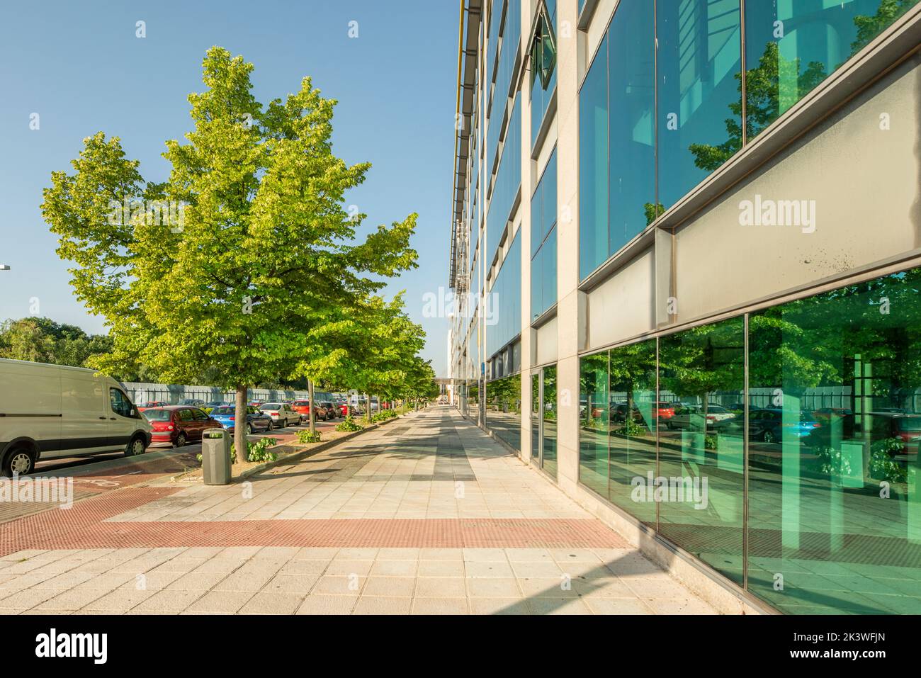 Glass, granite and metal facades in a street with young and leafy trees Stock Photo