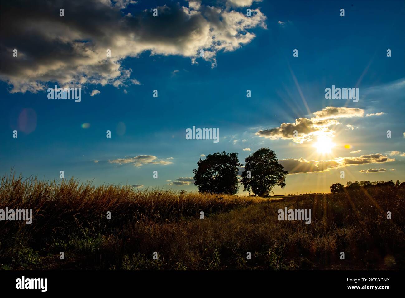 A morning sunrise captured in over a grass field in a blue sky with ...