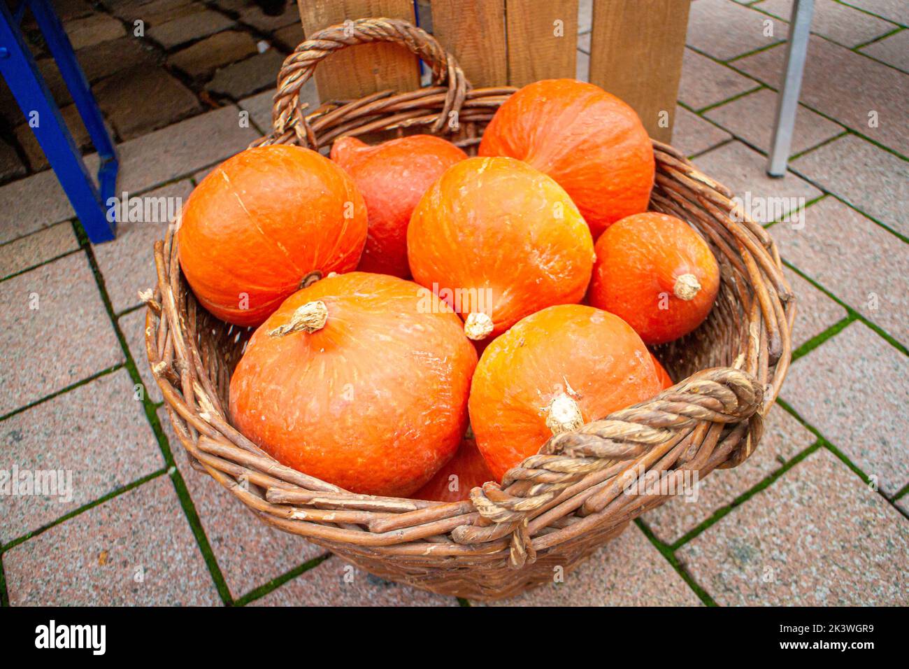 Red kuri squash pumpkins in a basket on a regional seasonal market in autumn with local products in Germany, called 'Herbstmarkt' (transl. autumn mark Stock Photo