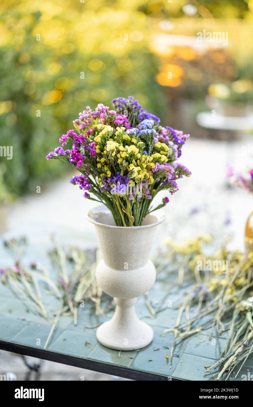 Limonium flower in vase Stock Photo
