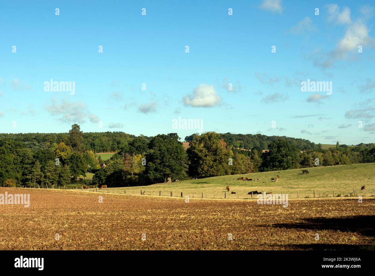 Agricultural landscape in early autumn, Langley, Warwickshire, England, UK Stock Photo