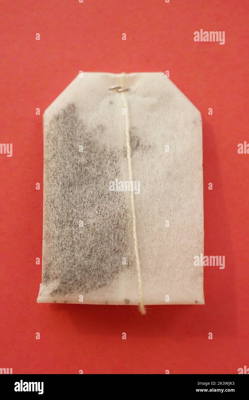 One white tea bag on red table, top view Stock Photo Alamy