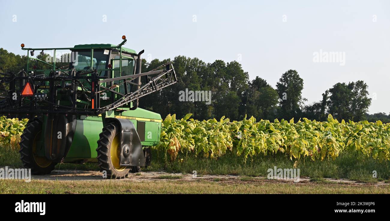 A John Deere tractor sits ready to harvest a tobacco field in Bertie County North Carolina Stock