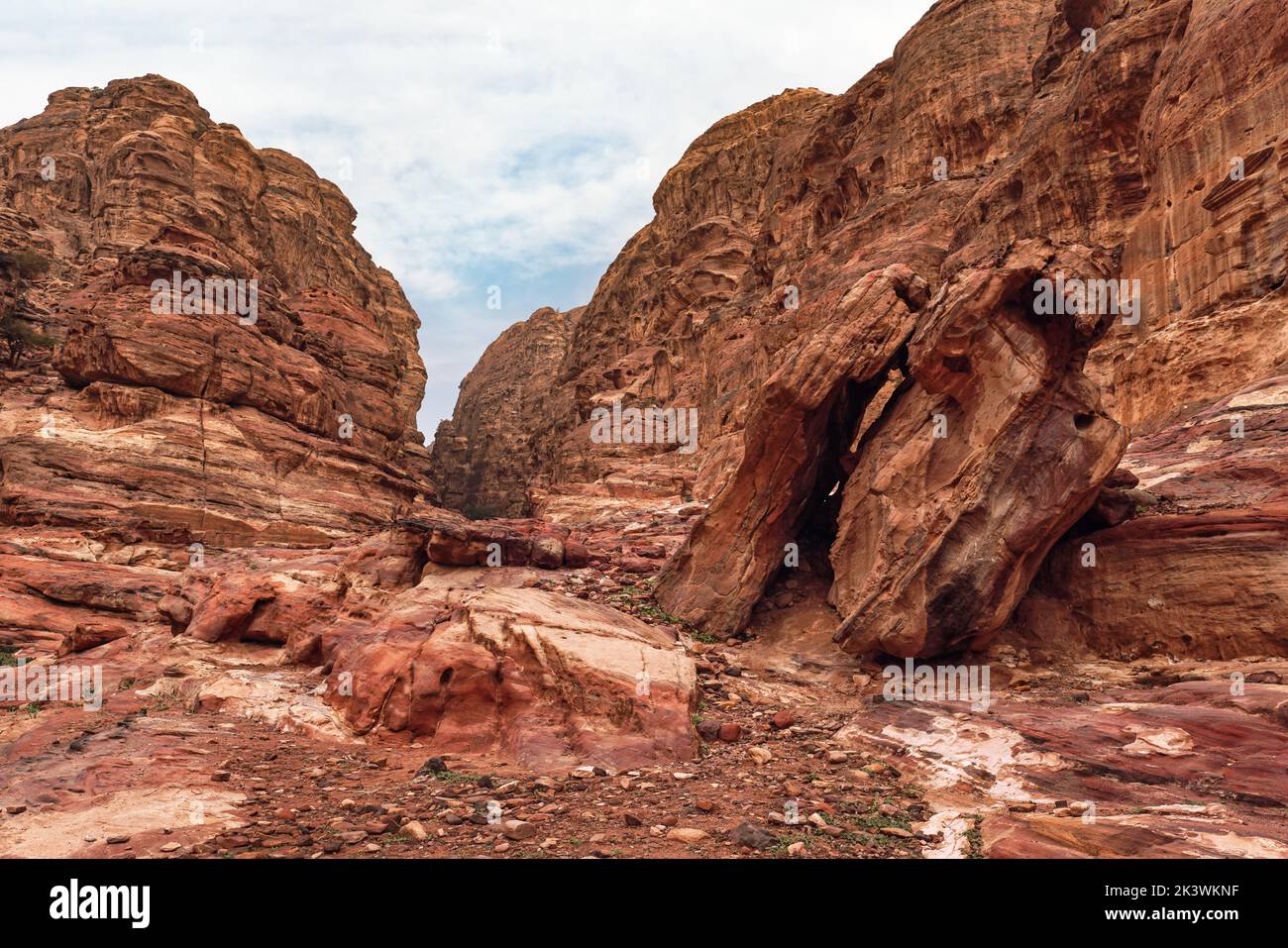 Typical landscape at Petra, Jordan, rocky walls around, few small green plants growing in red dusty ground Stock Photo