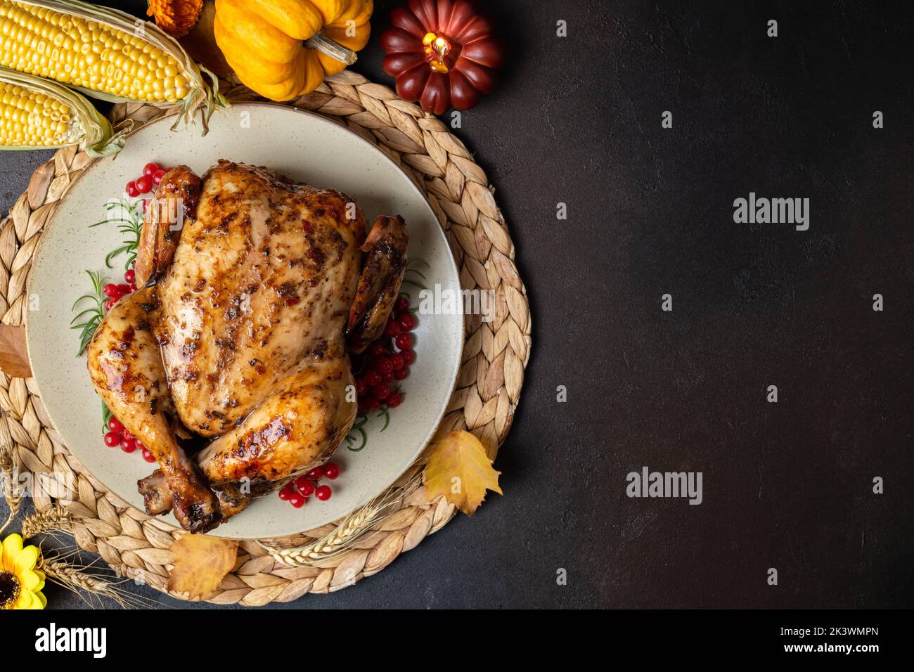 Baked chicken for Thanksgiving Day. Roasted chicken or turkey with herb rosemary and berry and pumpkins for Thanksgiving dinner on dark table. Festive Stock Photo
