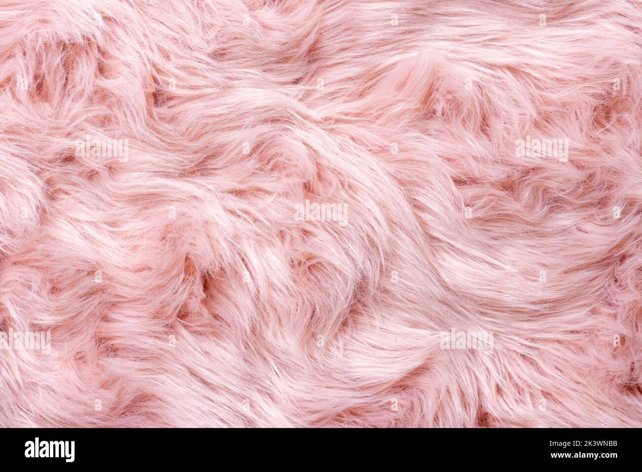 Pink fur texture top view. Pink sheepskin background. Fur pattern. Texture of pink shaggy fur. Wool texture. Sheep fur close up Stock Photo