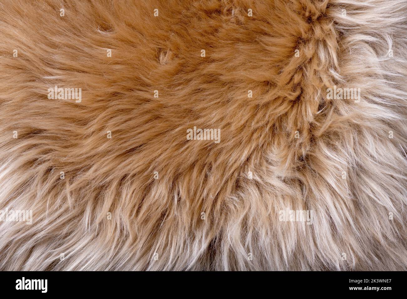 Fur texture top view. Brown fur background. Fur pattern. Texture of brown shaggy fur. Wool texture. Flaffy sheepskin fur close up Stock Photo