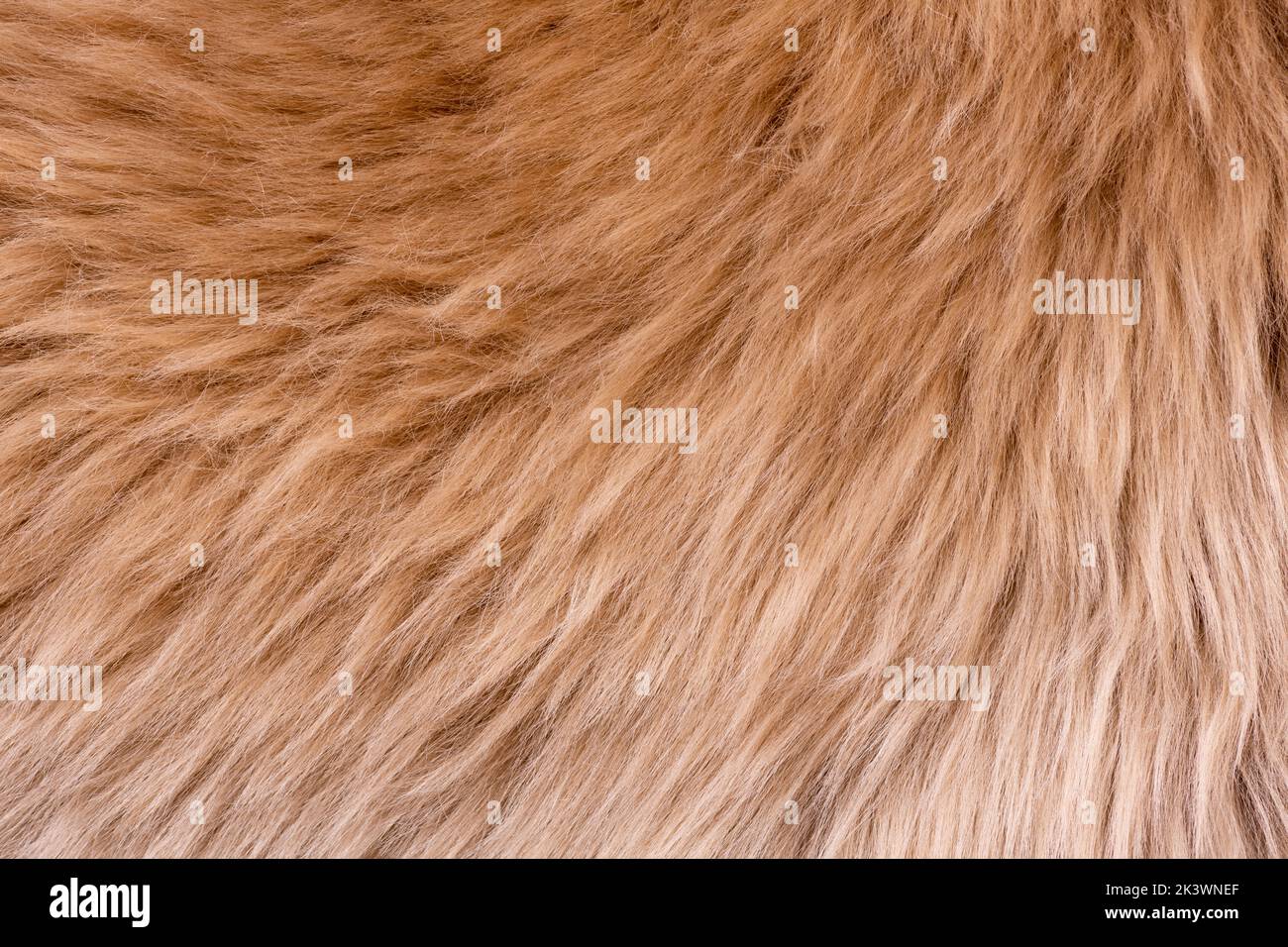 Trendy brown artificial fur texture. Fur pattern top view. Brown fur  background. Texture of beige shaggy fur. Wool texture. Flaffy sheepskin  close up Stock Photo