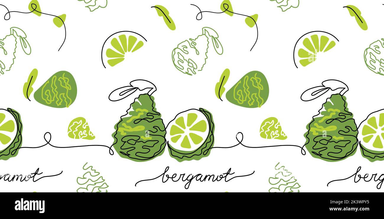 Bergamot vector pattern, color illustration for label design. One continuous line art drawing with lettering bergamot. Stock Vector