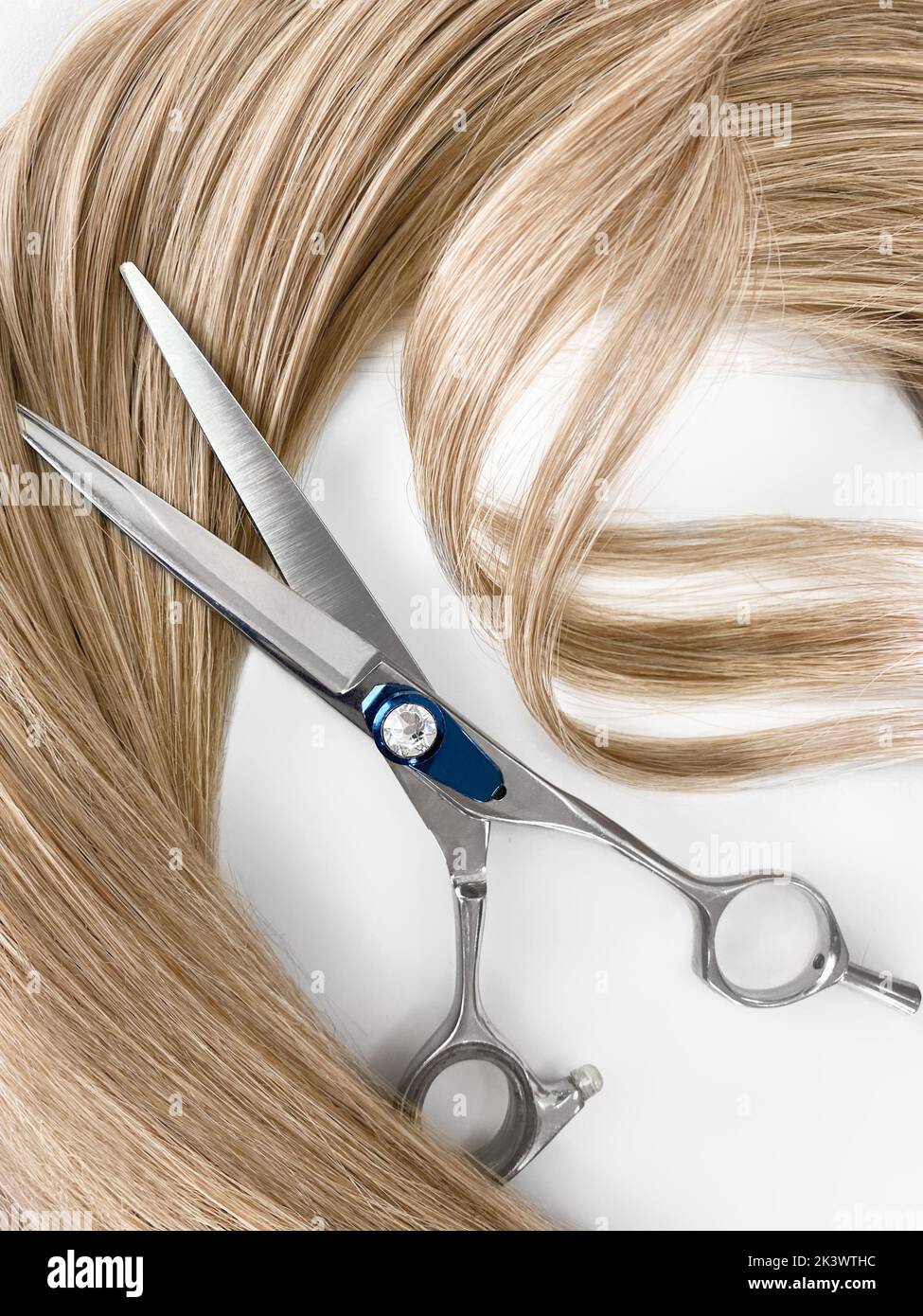 Professional Haircutting Scissors On A Colorful Pastel Background