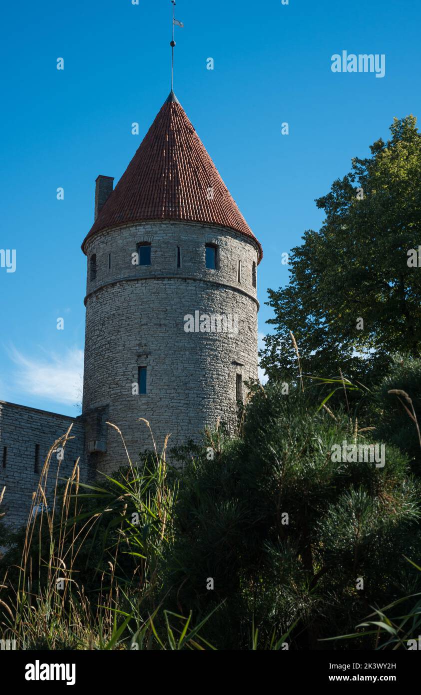 Monastery Gate Tallinn Stock Photo