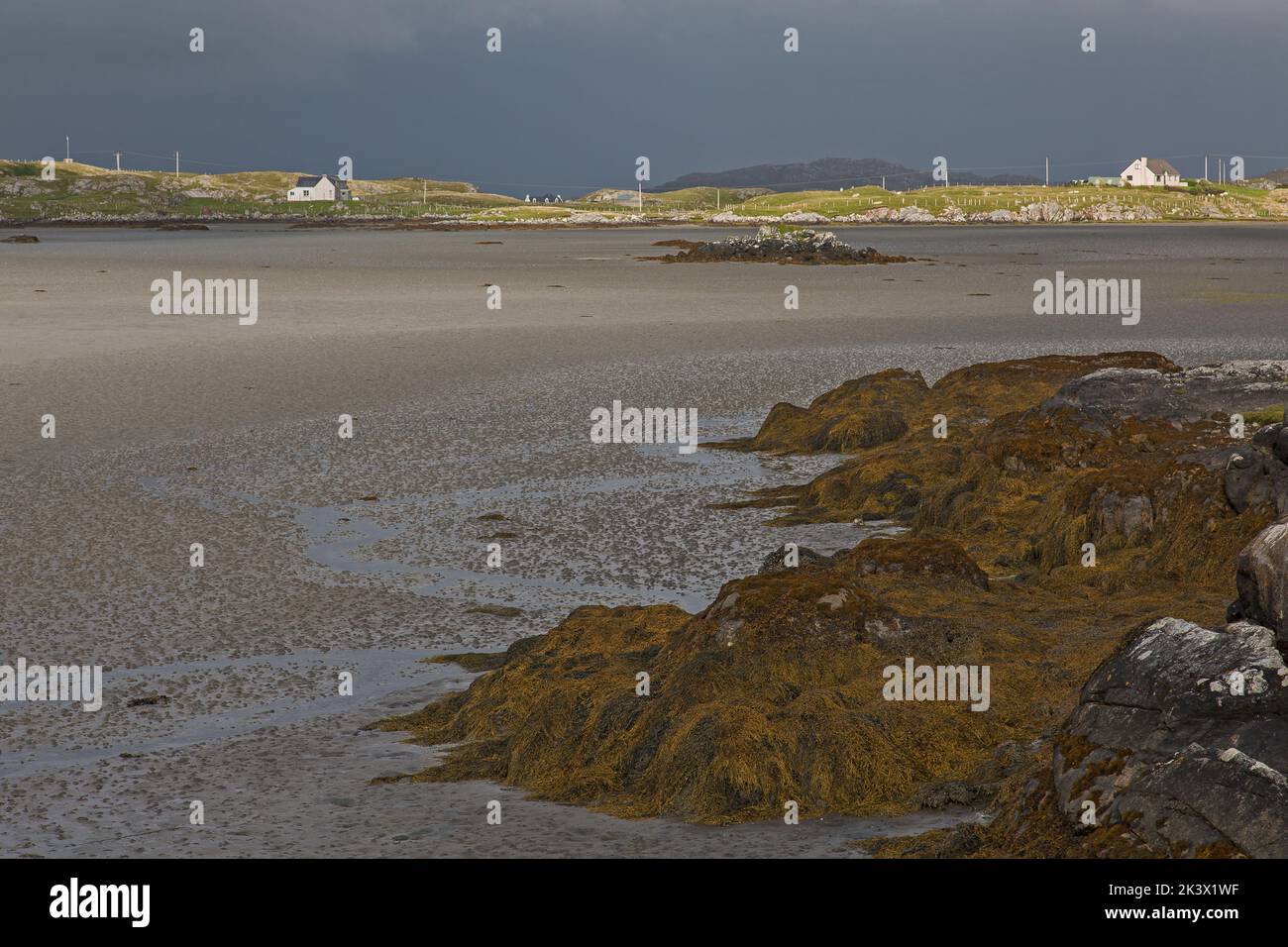 Rocks, Seaweed and Sodden Sand, Oitir Mhór, Uist, North Uist, Hebrides, Outer Hebrides, Western Isles, Scotland, United Kingdom, Great Britain Stock Photo