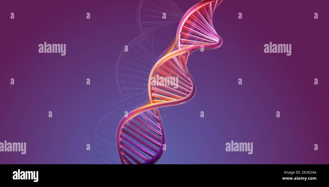 DNA double helix structure on a purple background Stock Photo - Alamy