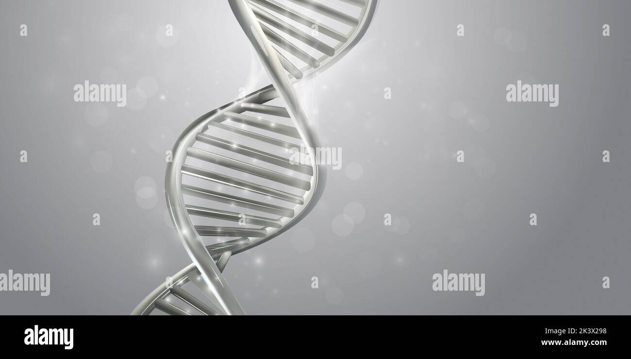 DNA double helix in light gray colors Stock Photo - Alamy