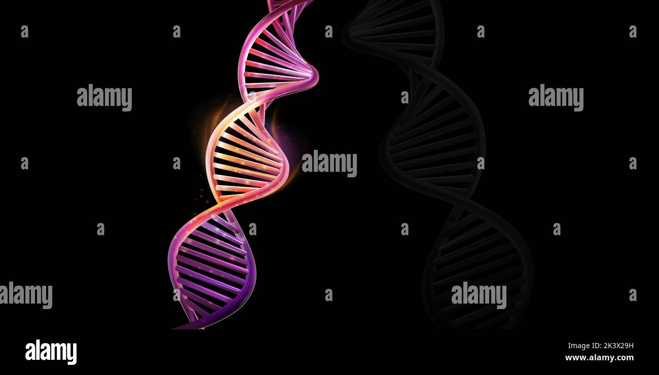 DNA double helix model on a black background Stock Photo - Alamy