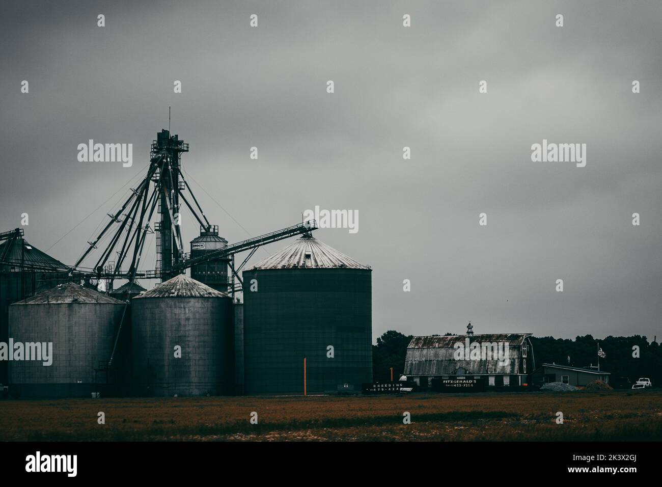 Silos on one of the many farms on the eastern shore of Maryland Stock Photo Alamy