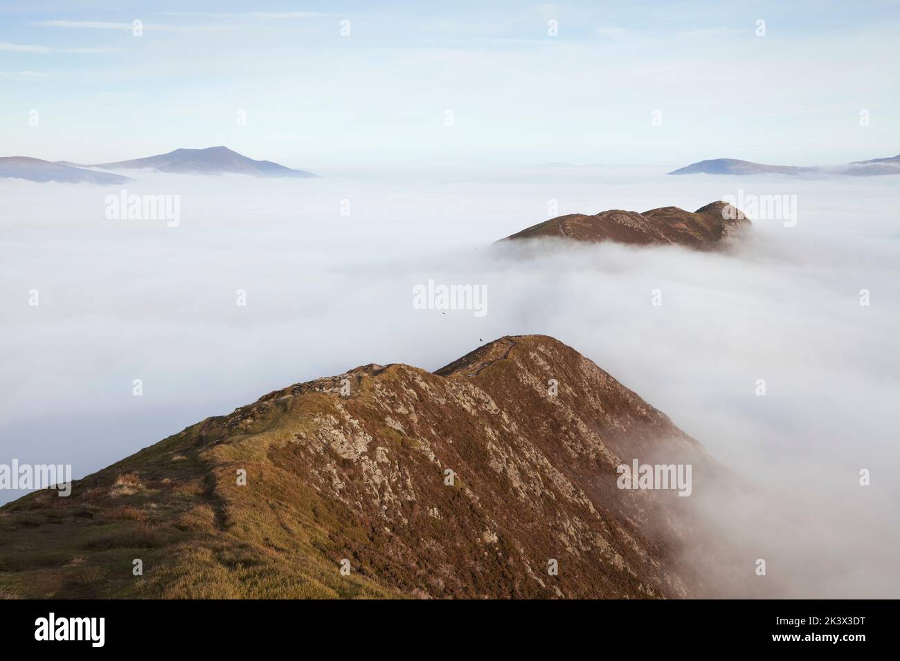 Causey Pike summit above a cloud inversion, seen from Scar Crags, Lake ...