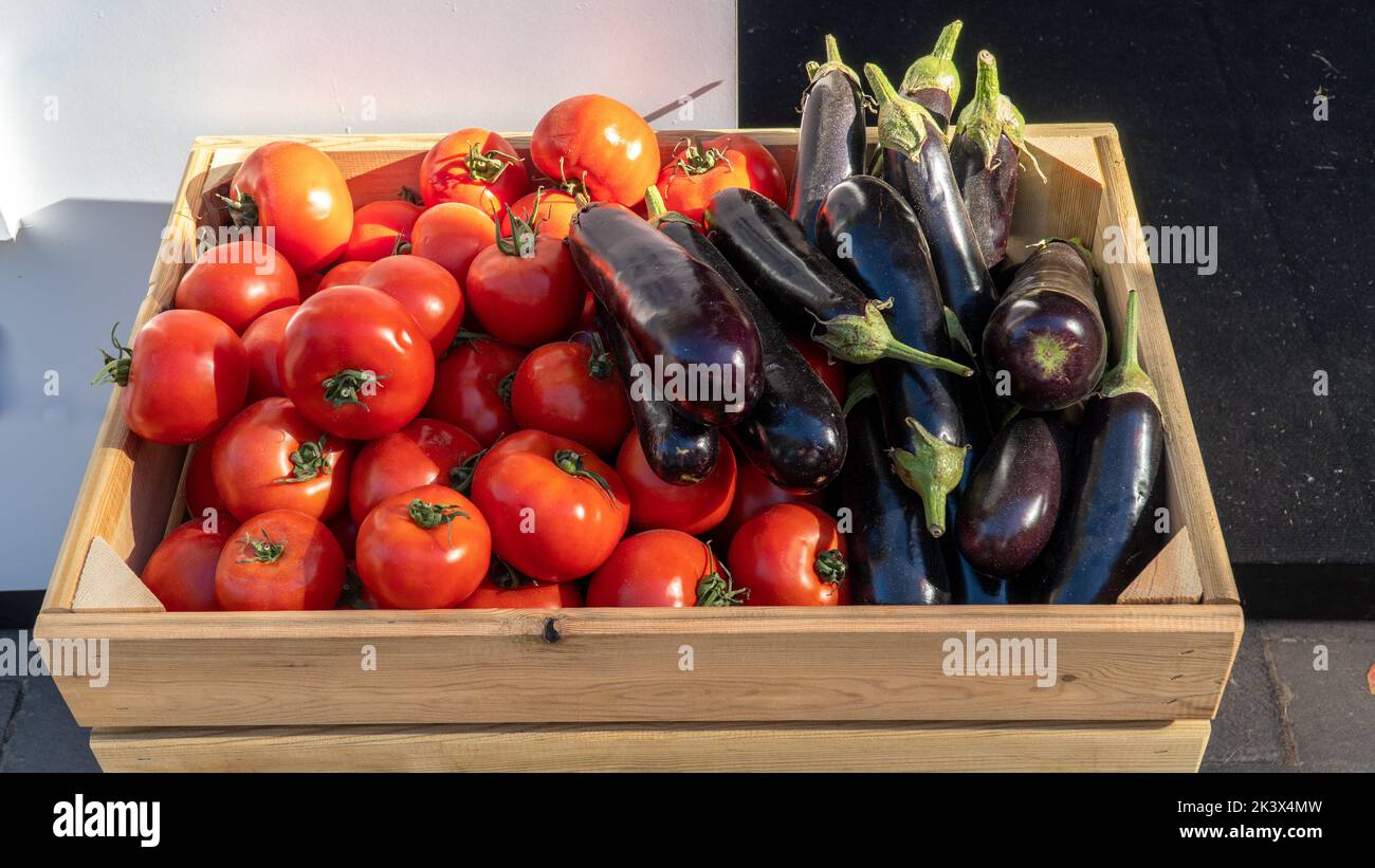 Tomatoes and eggplants, vegetables in a wooden box Stock Photo