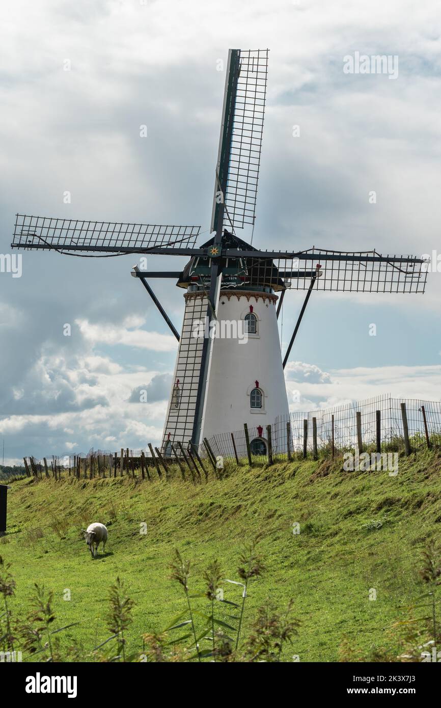 Windmill Buiten verwachting at Nieuw en sint Joosland, Zeeland, The Netherlands, september 25 2022 Stock Photo