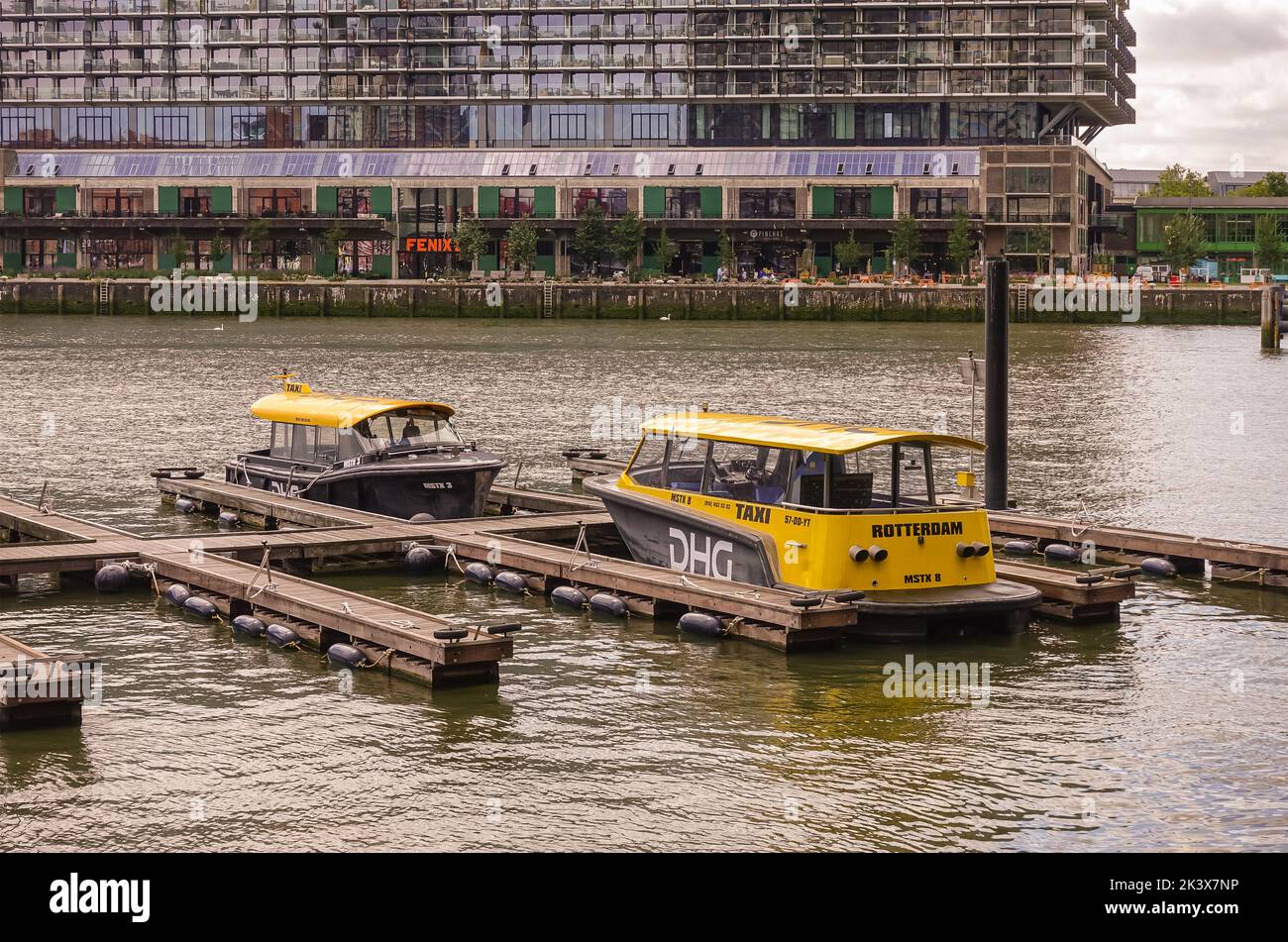 Rotterdam, Netherlands - July 11, 2022: 2 yellow-black DHG water taxi boats docked at Rijnhaven with Nico Koomanskade in back on which Fenix Food Fact Stock Photo