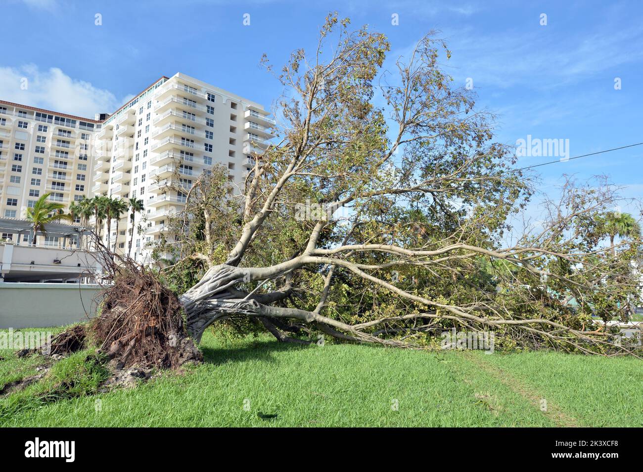 FORT LAUDERDALE, FL - SEPTEMBER 22, 2022: Hurricane Ian makes landfall in Florida as dangerous ...