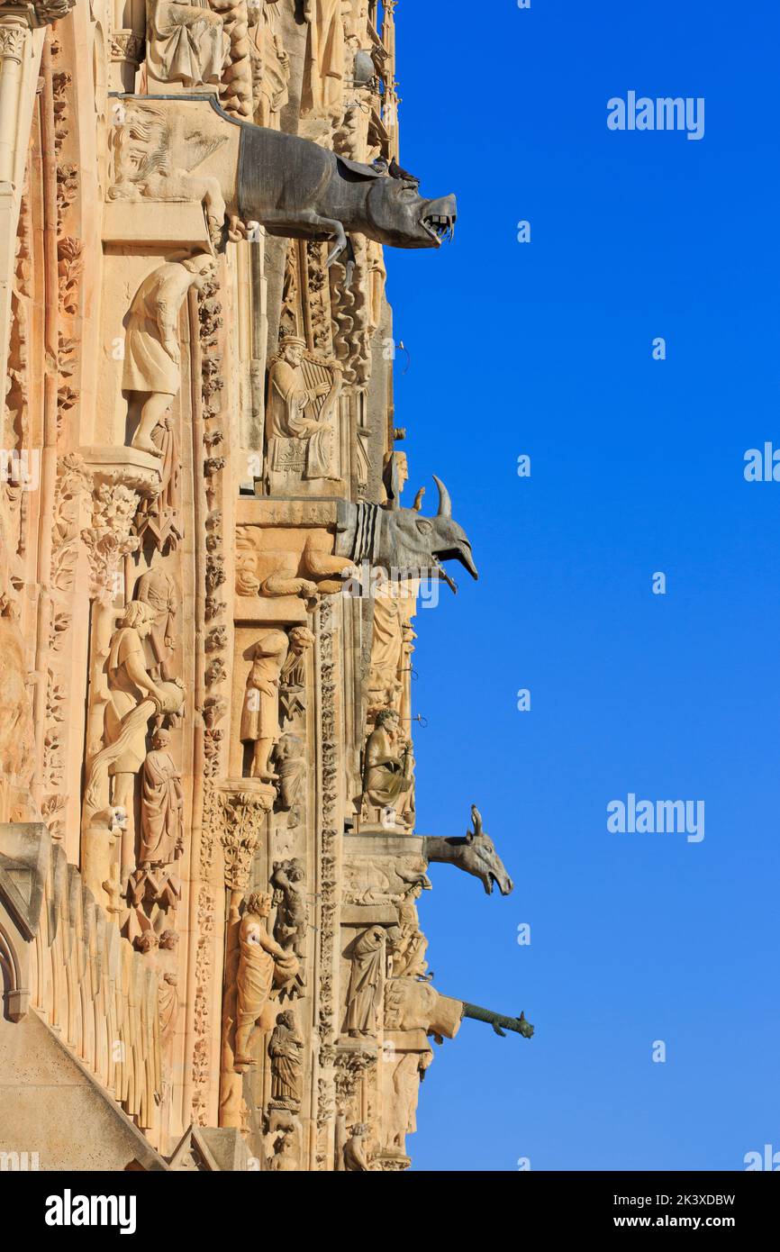 Rhinoceros, bull, wolf and boar-shaped gargoyles at Reims Cathedral in Reims (Marne), France Stock Photo