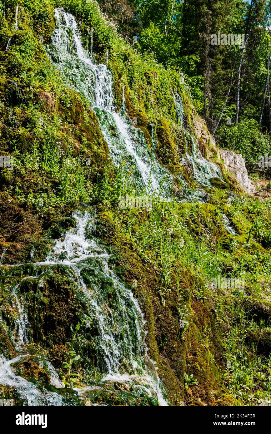 Waterfalls; The Hanging Garden; Liard River Hot Springs; Liard River Provincial Park; British Columbia; Canada Stock Photo