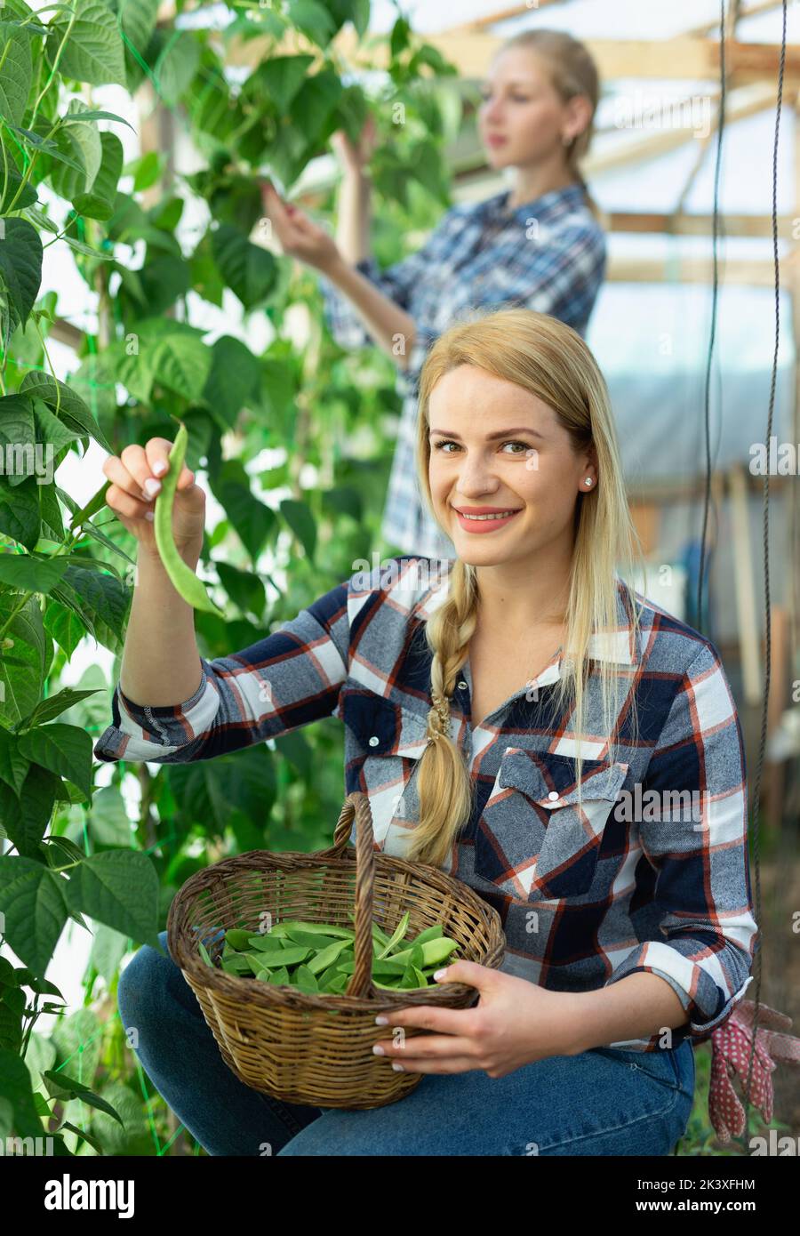 Woman planting beans hi-res stock photography and images - Alamy