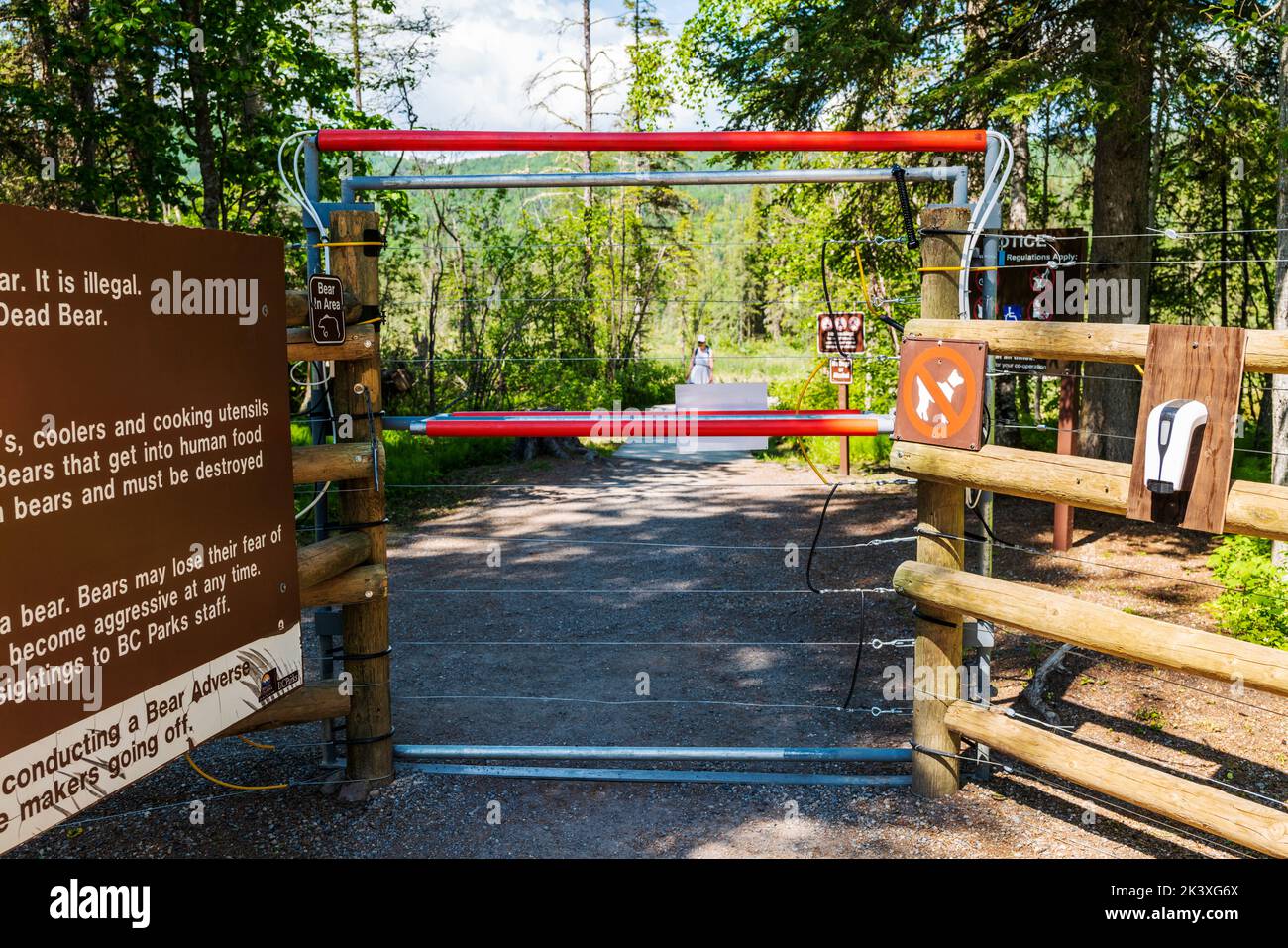 Secure electric gate barrier for bears; Liard River Hot Springs;  Liard River Hot Springs Provincial Park; British Columbia; Canada Stock Photo