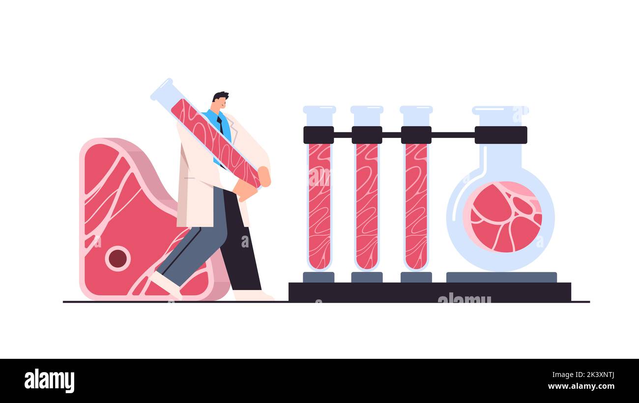 scientist analyzing test tubes with cultured red raw meat made from animal cells artificial lab grown meat production concept horizontal vector illust Stock Vector