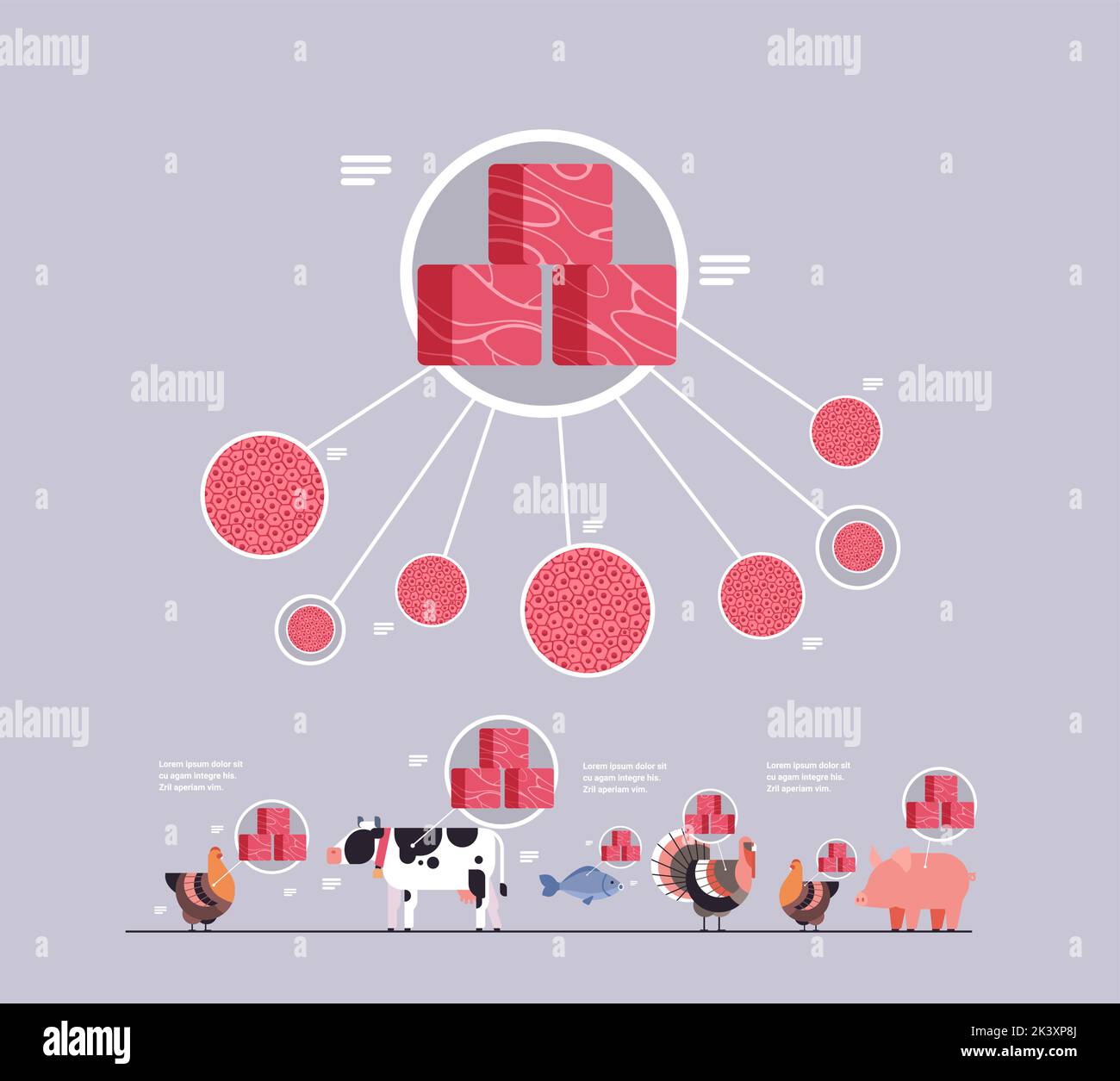 cultured red raw meat made from animal cells artificial lab grown meat