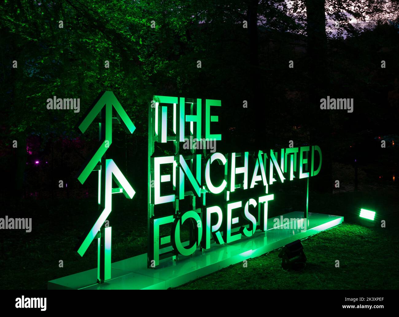 Pitlochry, Perth and Kinross, Scotland. 28 September 2022. In the woodland setting of Forestry & Land Scotland’s Faskally Wood is the setting for the 2022 Enchanted Forest which is making its return to Pitlochry this Autumn with its 20th anniversary show. Founded in 2002 the event opens with the theme, 'Together' inspired by the hopeful public mood of togetherness. It is hoped that the public's imagination will be alight with dazzling visuals and innovative design, choreographed against an original music score. From, Thurs 29 Sept 2022 – Sunday 30 Oct 2022.  Credit; Arch White/alamy live news Stock Photo
