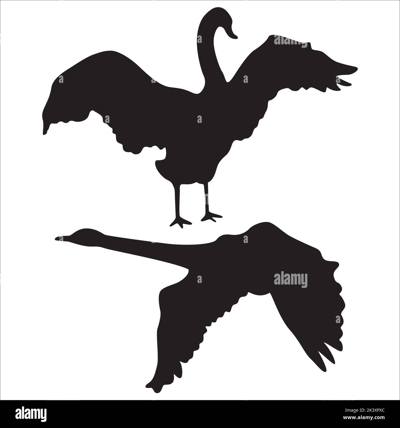 Vector Set Of Swan Silhouettes Illustration Isolated On White