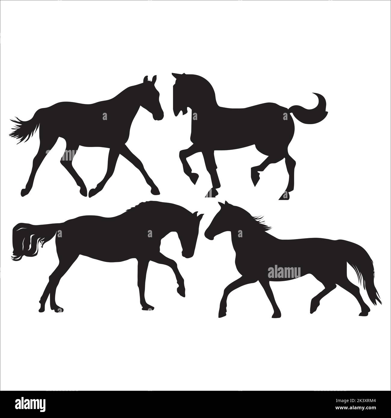 Vector Set Of Running Horses Silhouettes Illustration Isolated On White ...