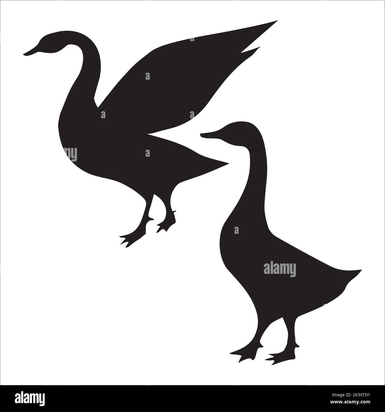 Vector Set Of Swan Silhouettes Illustration Isolated On White
