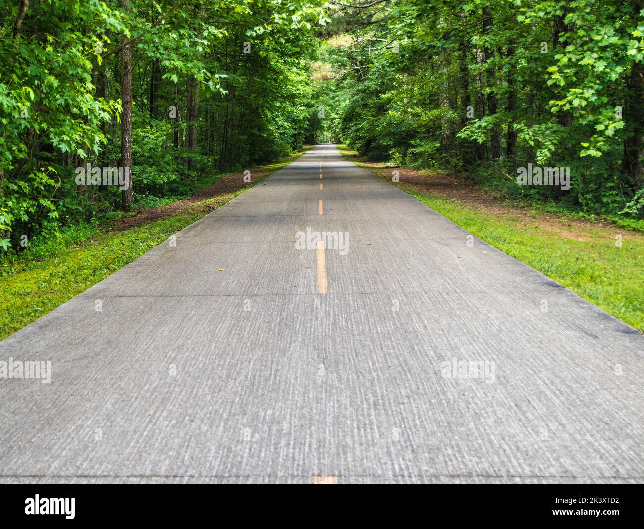 Silver Comet Trail 65 mile paved path USA looking straight down
