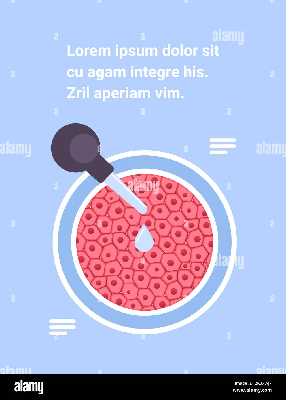 adding drop of liquid from flask in petri dish with cultured raw red meat made from animal cells artificial lab grown meat production concept vertical Stock Vector