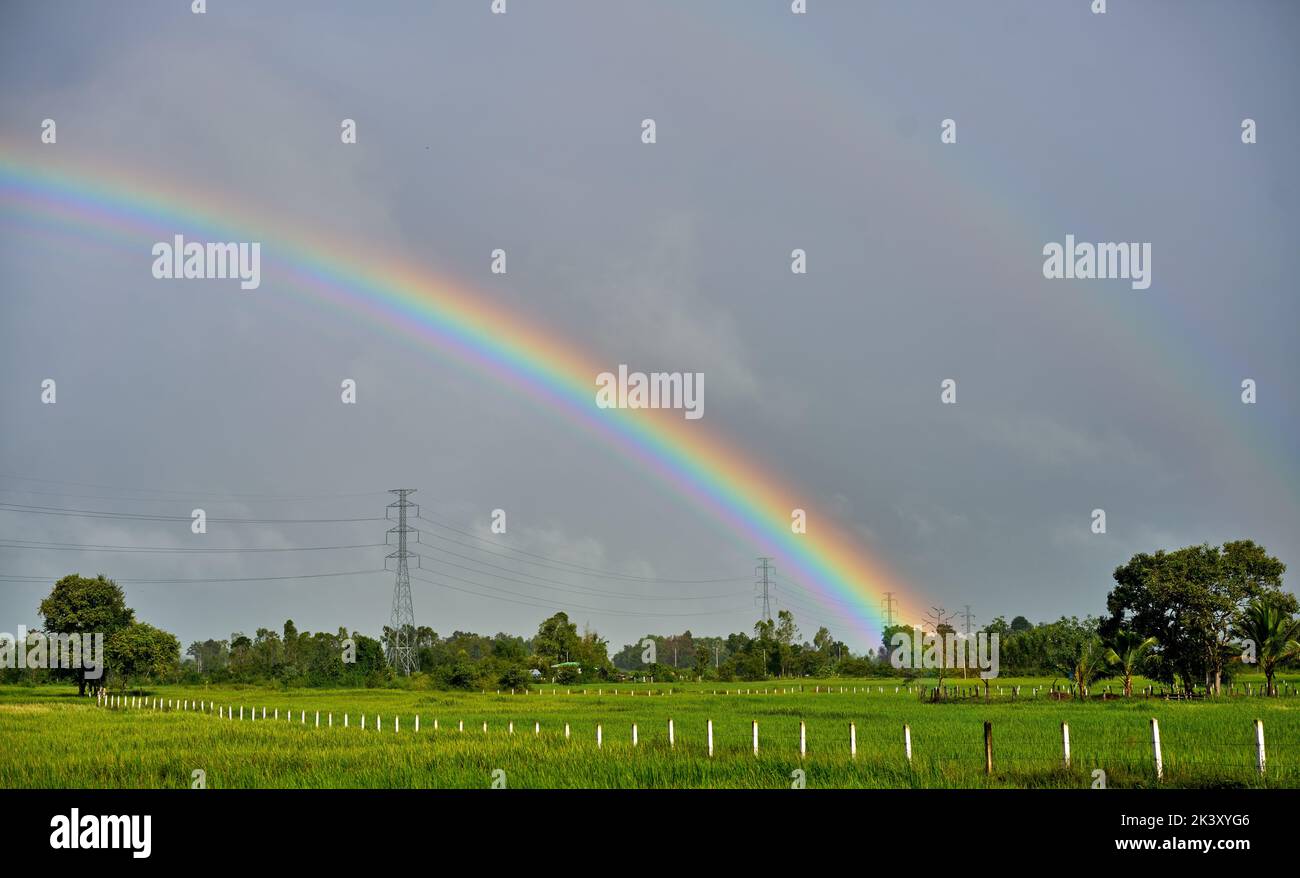 A magical rainbow over lush green paddy fields. Stock Photo